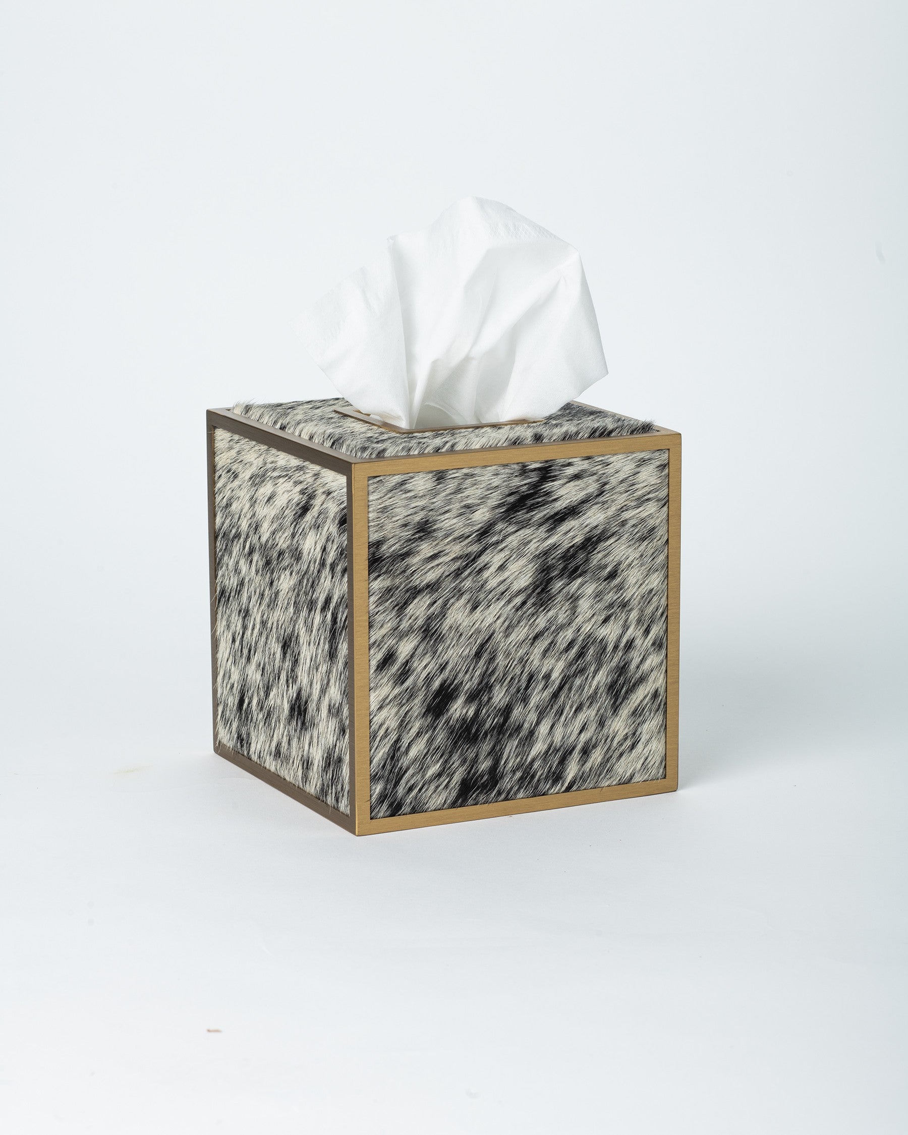 Brindled Mane Tissue Box
